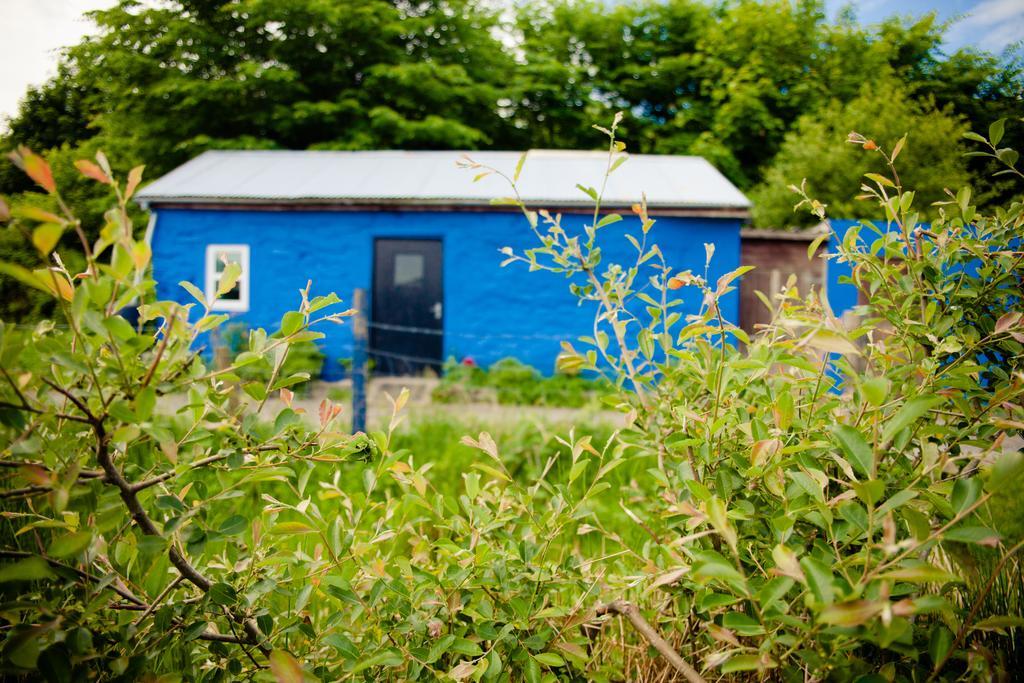 The Snowdon Inn - Y Fricsan Cwm-y-glo Cameră foto